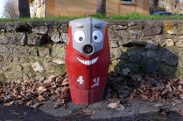  by Le Chat Zèbre in Chartres