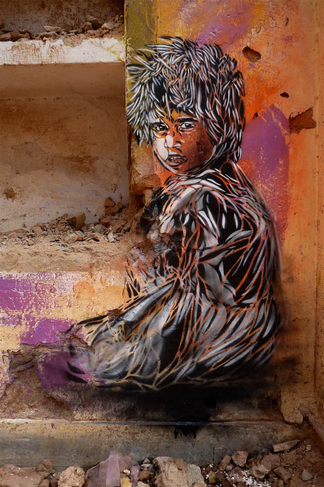  by C215 