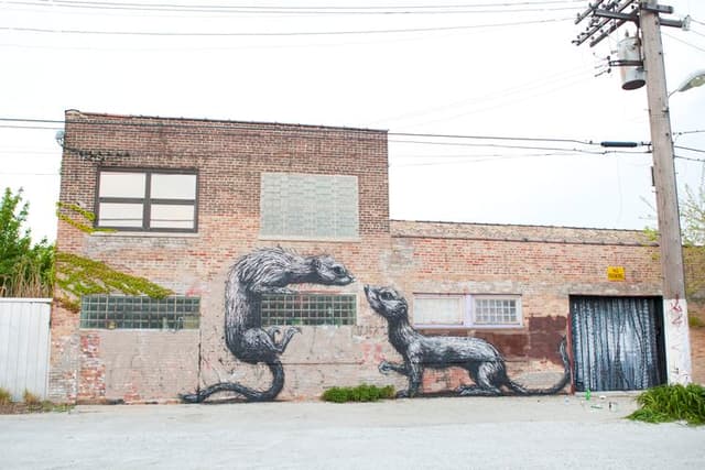  by Roa in Chicago