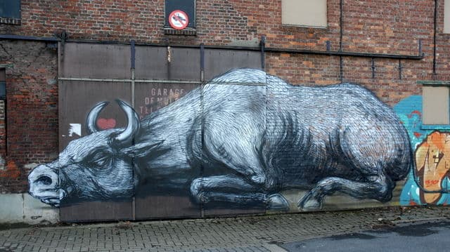  by Roa 