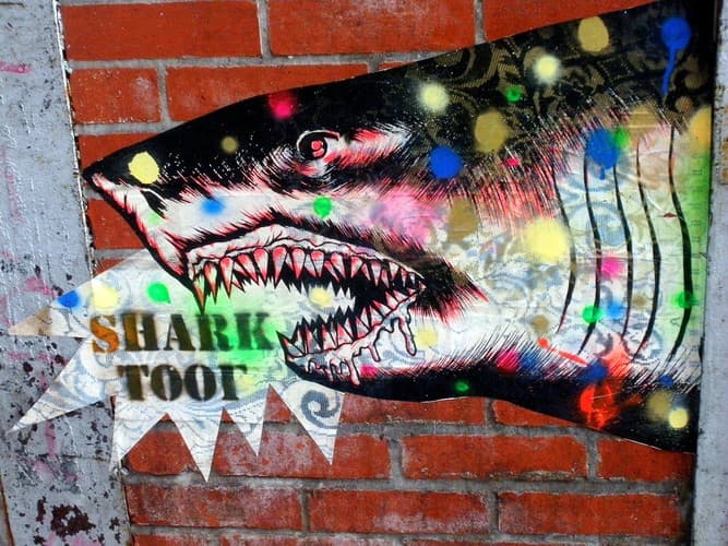  by Shark Toof 