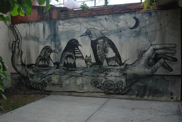  by MALO FARFAN in Oaxaca de Juárez Municipality