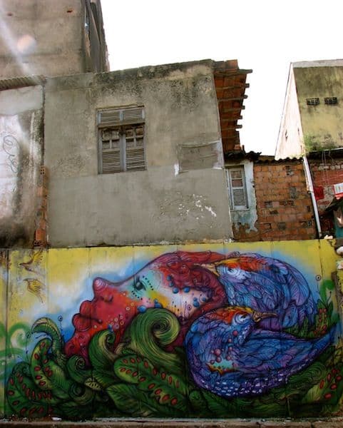  by Calangos in Salvador