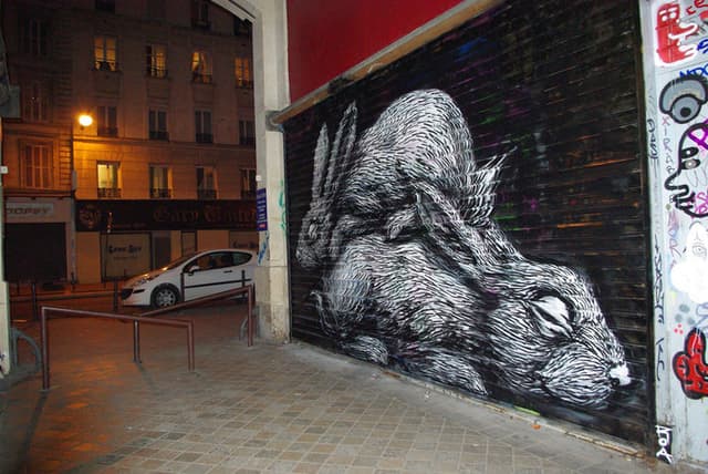  by Roa in Paris