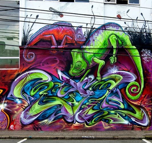  by rizo in Florianópolis