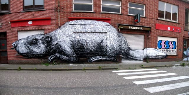  by Roa in Beveren