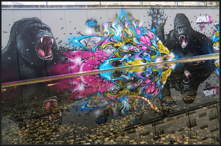  by Alex 