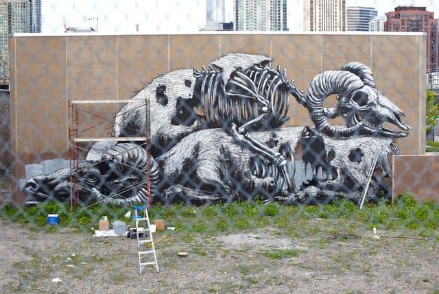  by Roa in Chicago