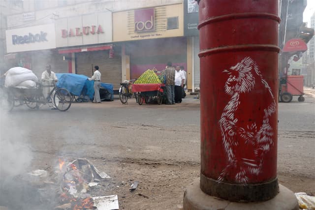  by C215 in New Delhi, Delhi