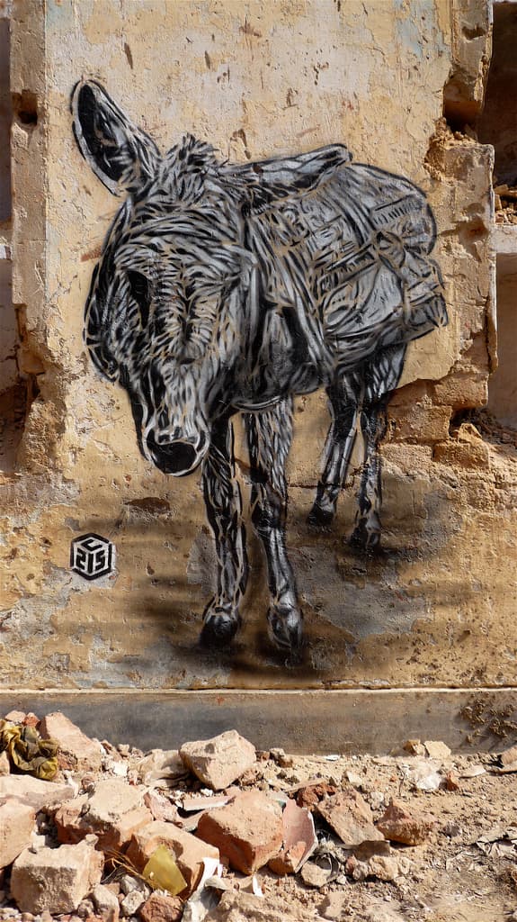  by C215 in New Delhi, Delhi