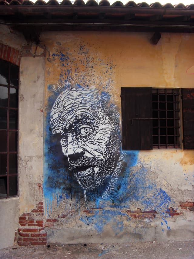  by C215 in Bassano del Grappa