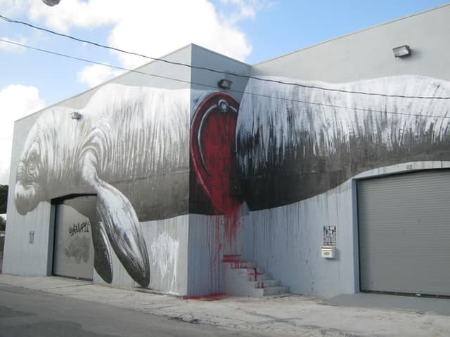  by Roa in Miami