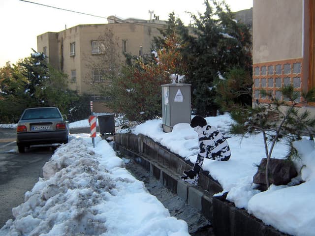   in Tehran