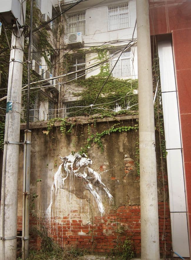  by Faith47 in Wuhan