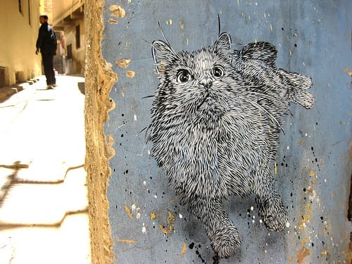  by C215 in Fes