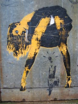 Nick Walker