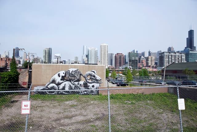  by Roa in Chicago