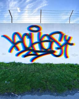 Aches